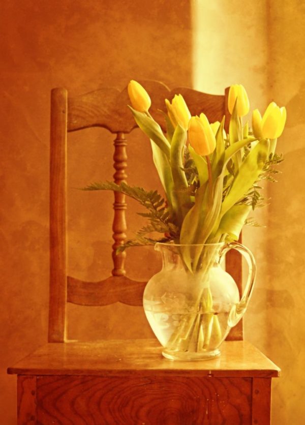 tulip-bouquet-1715054_1920