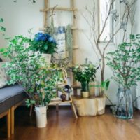 今話題のボタニカルのある暮らし♡リフレッシュできる空間づくりに植物柄を取り入れてみよう♪