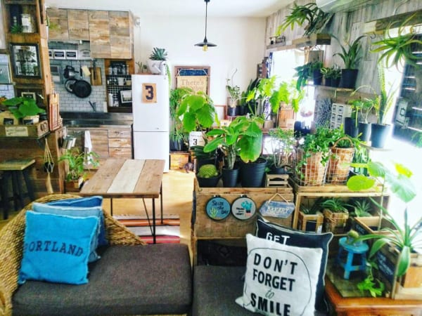 ナチュラルで心地よい空間づくりが魅力 インドアグリーン のある暮らしを始めてみませんか Folk