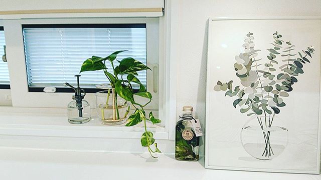 植物のアートフレーム