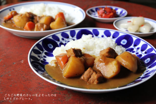 和食器にカレーライスを盛り付けて