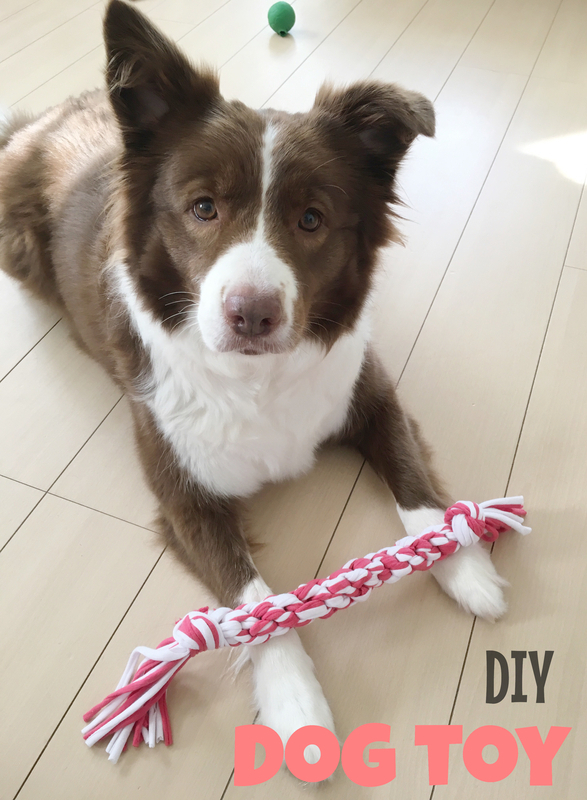 DIY 犬用のおもちゃ