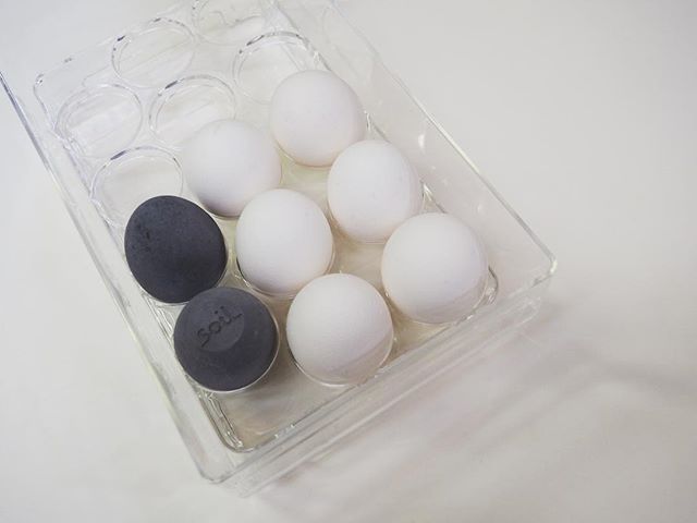 珪藻土egg