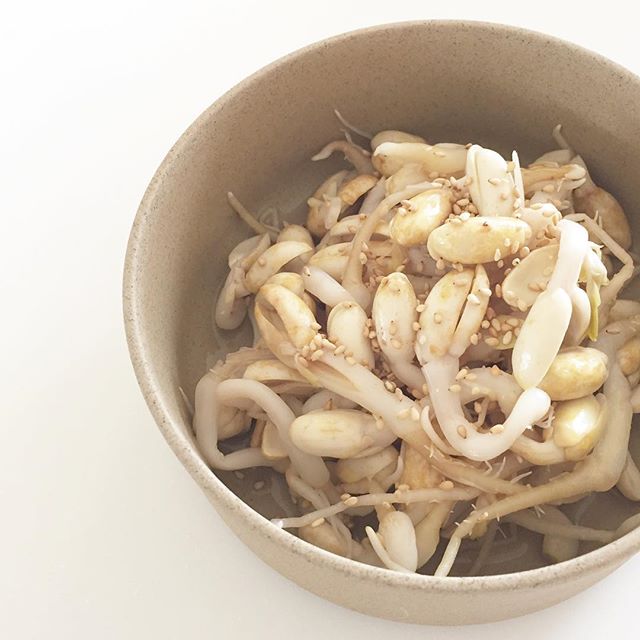 コスパ最強の野菜もやしのおつまみレシピ