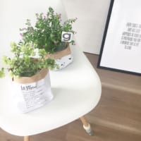 春の訪れとともにはじめる植物のある暮らし♪春を植物と共に楽しもう！