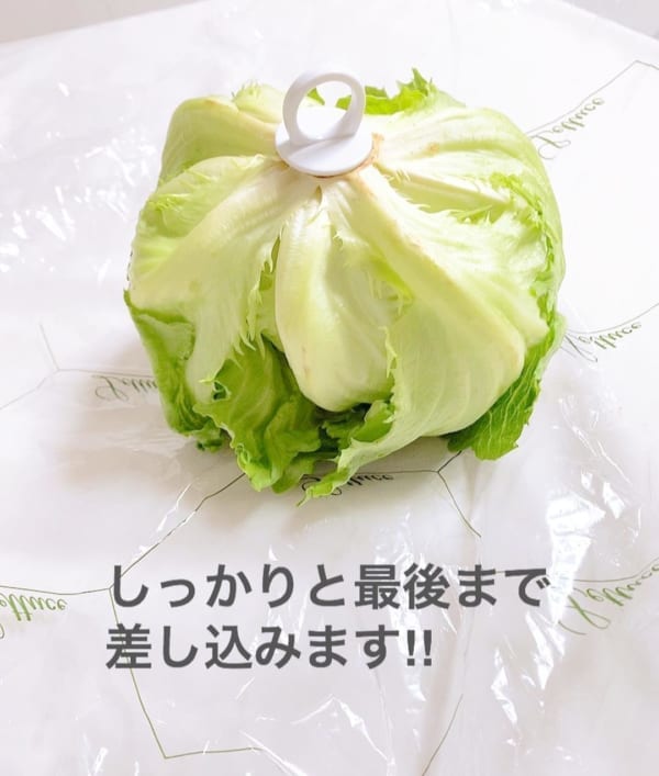 野菜フレッシュキーパー2