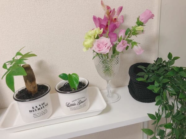 フラワーベース　100均　観葉植物