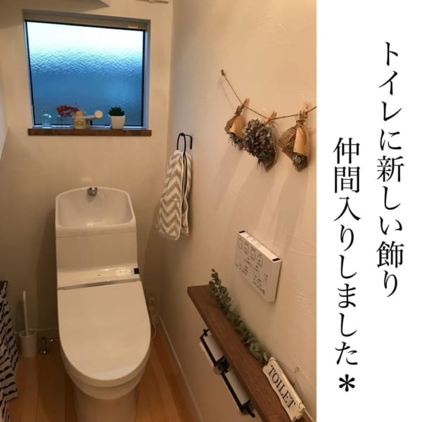 トイレインテリア 植物