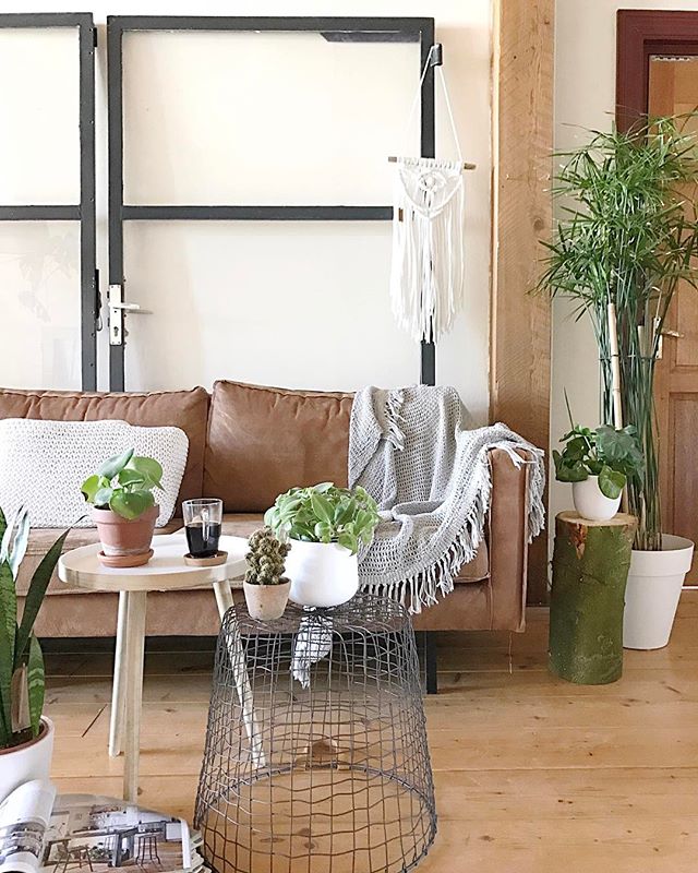 インテリアをよりおしゃれに グリーンをセンス良く飾る4つのポイント Folk