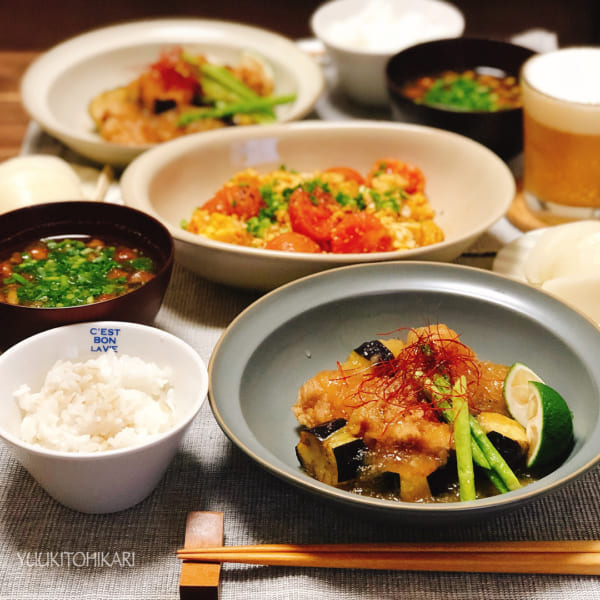 鶏肉と茄子のみぞれあんかけ