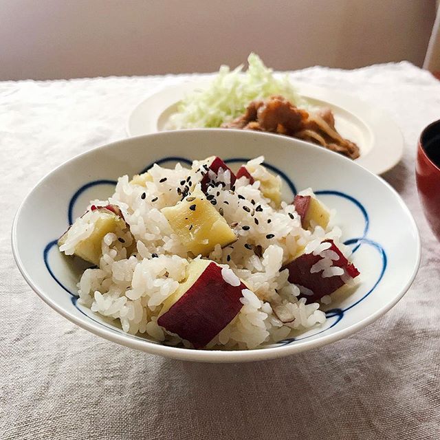 春巻き 献立 ご飯物11