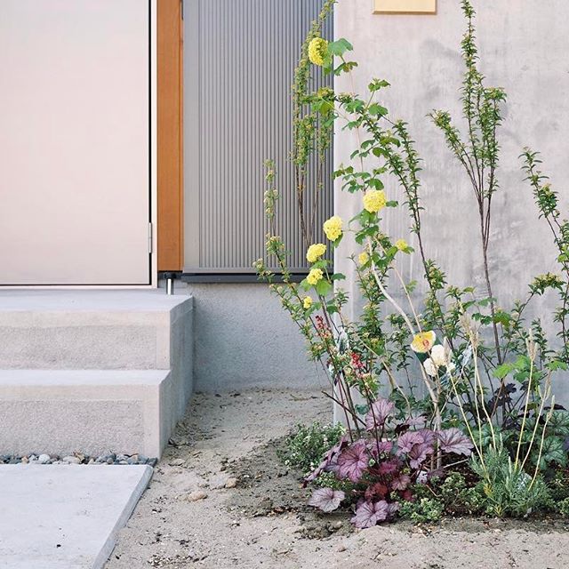 玄関ポーチにおすすめの植物・お花17