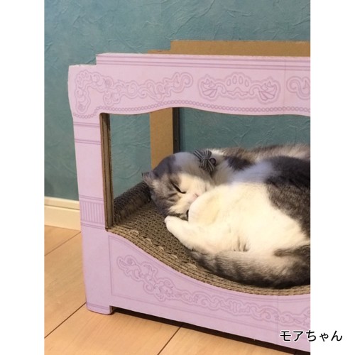 猫 グッズ6