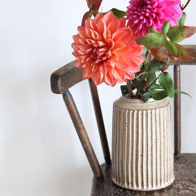 秋のお花を上手に生けよう カラーバリエーションが豊富なダリアの楽しみ方 Folk