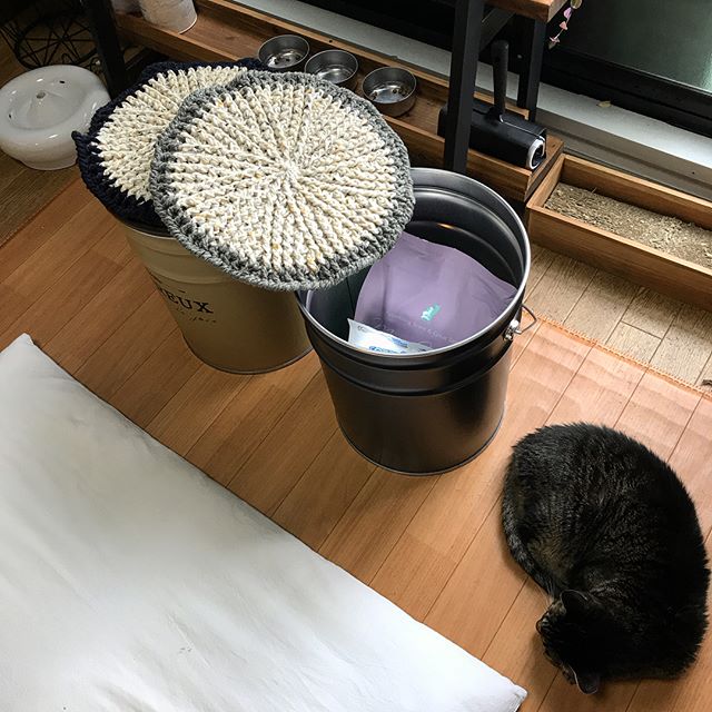 愛猫のフードもおしゃれに収納