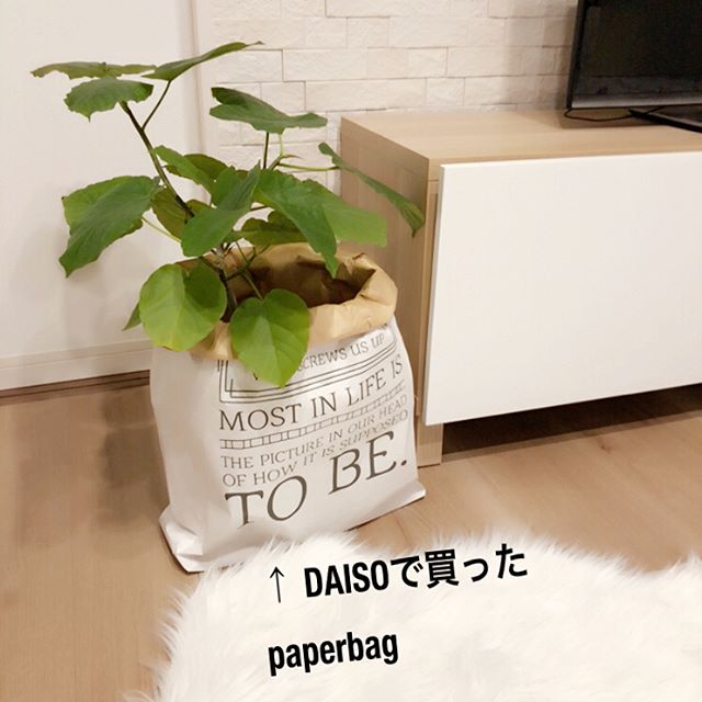 部屋の装飾になる植物を入れる使い方