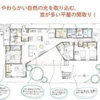 やわらかい自然の光を取り込む、窓が多い平屋の間取り！