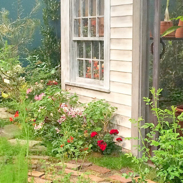 様々な種類の花が育つ庭