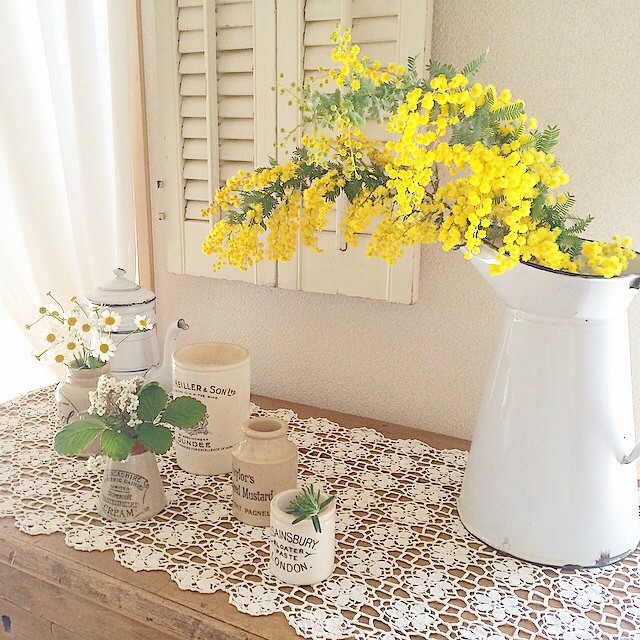 お部屋に植物を置いてナチュラルさをプラス