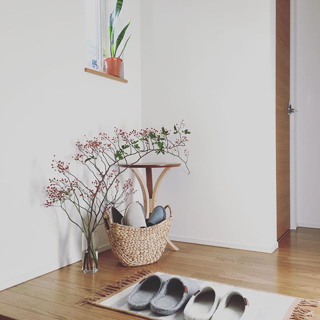 おしゃれな観葉植物8