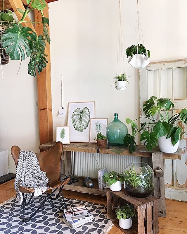 さりげなく飾っておしゃれに 海外インテリアから学ぶ観葉植物のある空間 Folk