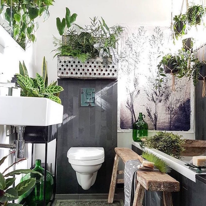 水回りをおしゃれにしよう お手洗い 洗面所 お風呂の素敵実例 Folk