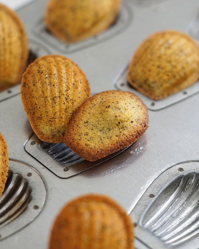 焼き菓子の美味しい手作りレシピ10