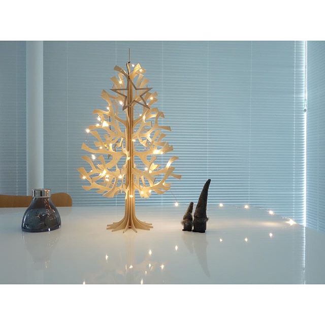 ロヴィの白樺ツリー