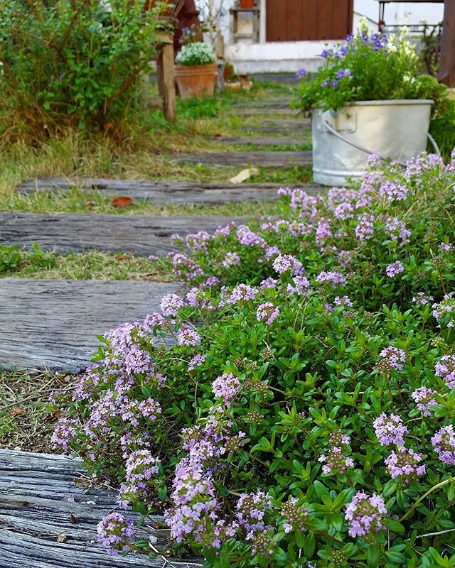 長方形の花壇8