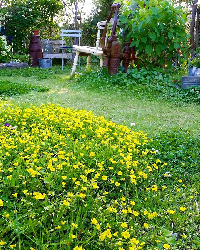 長方形の花壇15