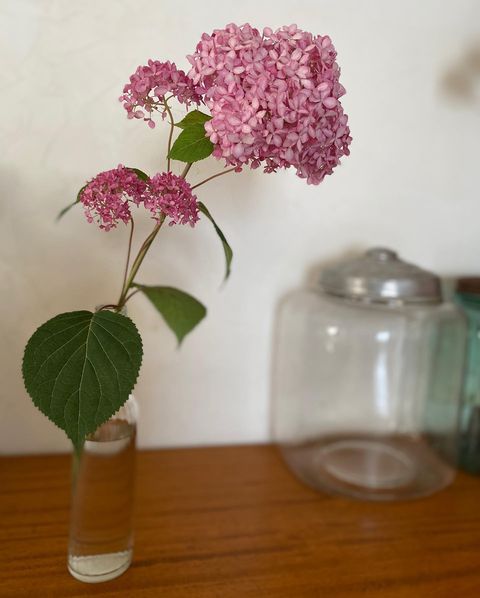 花の飾り方