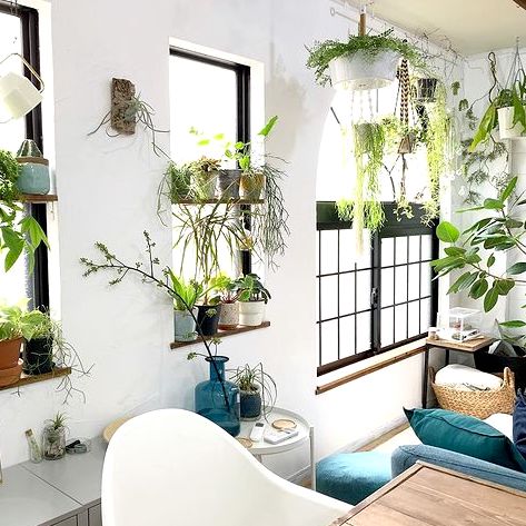 おしゃれで心地よいグリーンのある暮らし お部屋別インテリアコーディネート実例集 Folk