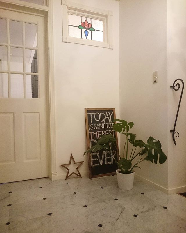 疲れを癒すモンステラ