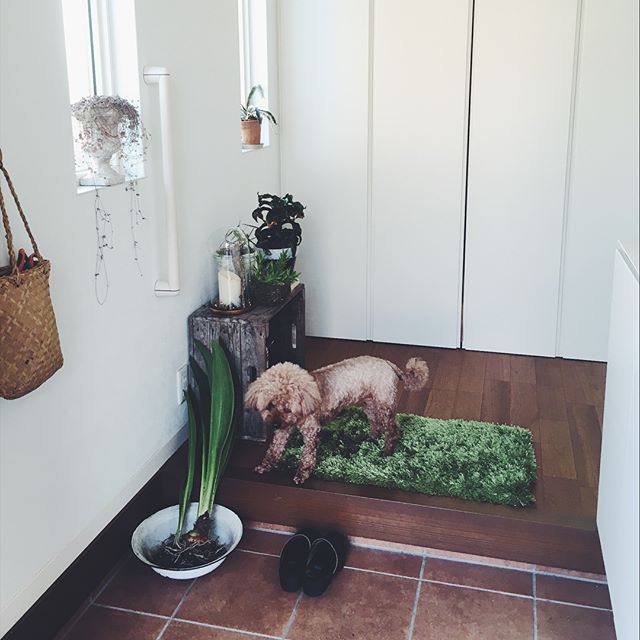 良くない気を阻む玄関マット