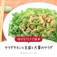 【レシピ動画】混ぜるだけで簡単「サラダチキンと豆苗と大葉のサラダ」