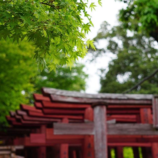 40代から始める趣味「神社仏閣巡り」