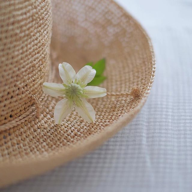 秋の花の美しい和名「鉄線」