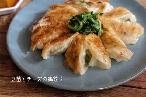 財布に優しい♡豆苗とチーズの鶏餃子レシピ