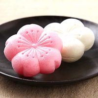 お土産にも最適な最中のおすすめ14選。和菓子好きさんが喜ぶ本当に美味しい逸品って？