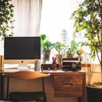 1Rや1Kのお部屋でもナチュラルインテリアを。植物の取り入れ方をご紹介