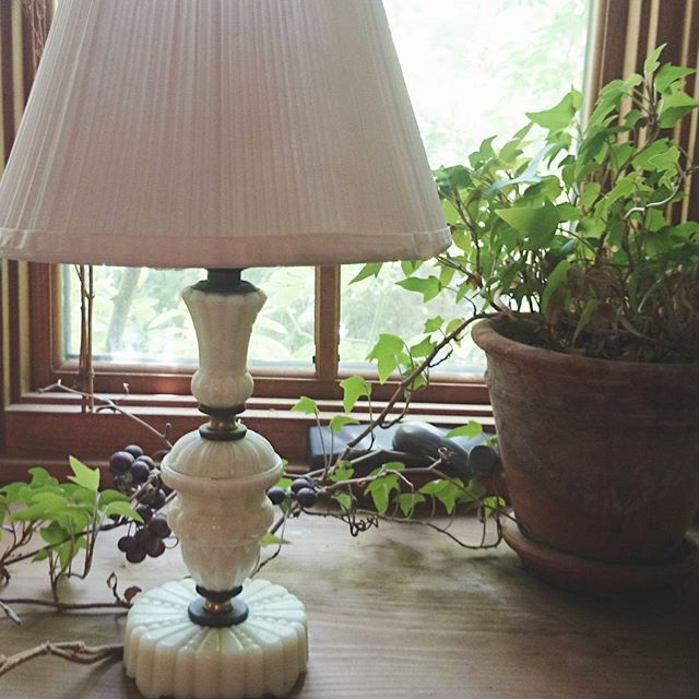 アイビー風水１４