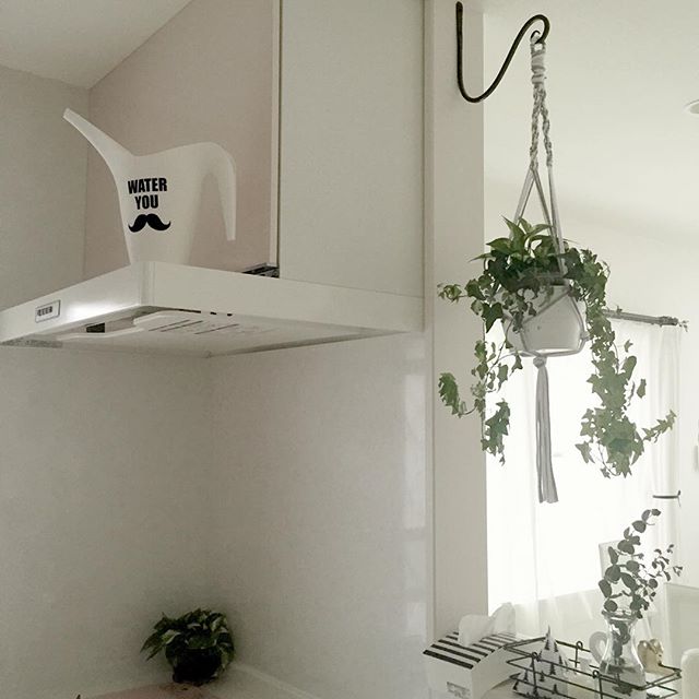 アイビー風水６