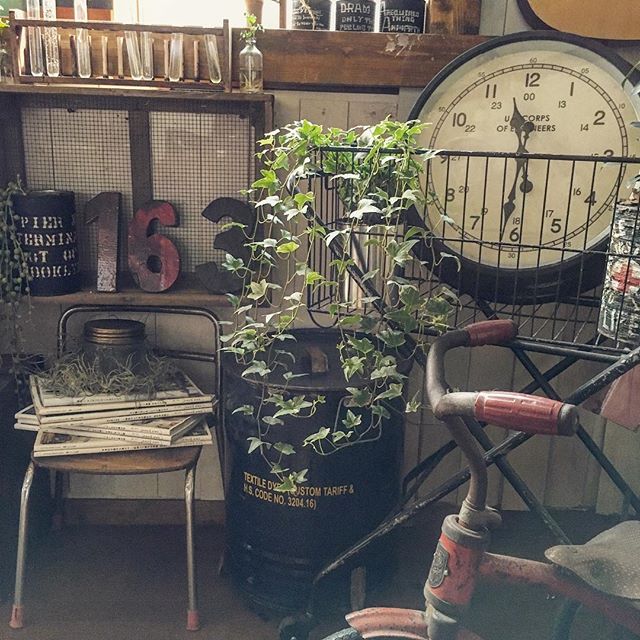 アイビー風水２