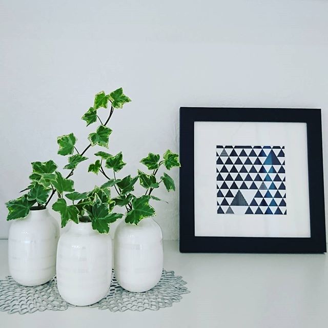 アイビー風水３