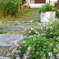 草花をもっと愛せる素敵な庭作りのコツをご紹介。難しくないおしゃれに見せる方法