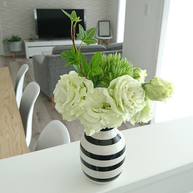 アイビー風水８