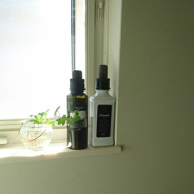 アイビー風水１３