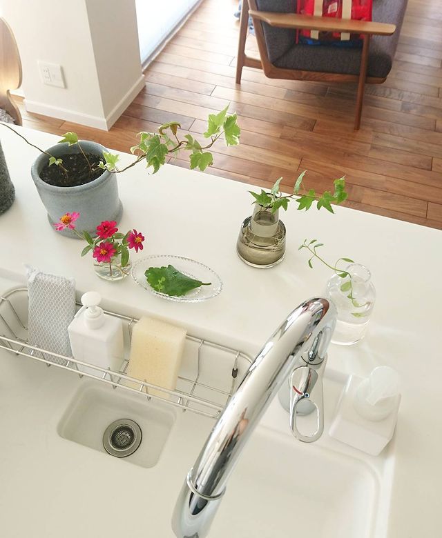 アイビー風水５