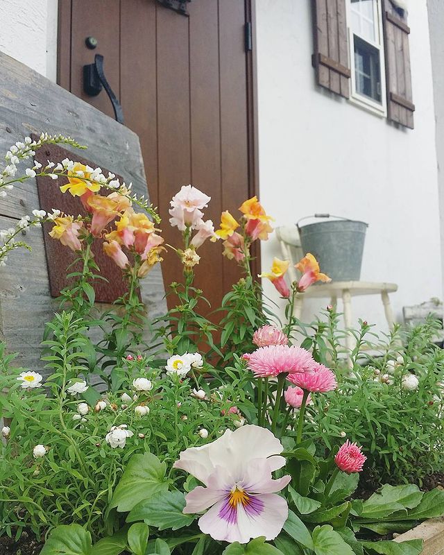 冬から春に◎センスのいいおしゃれな寄せ植え