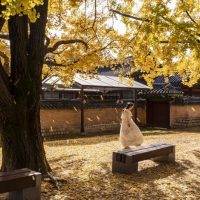 人生の教訓を教えてくれる韓国のことわざ特集！座右の銘にしたい名言をチェック